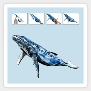 whale Sticker